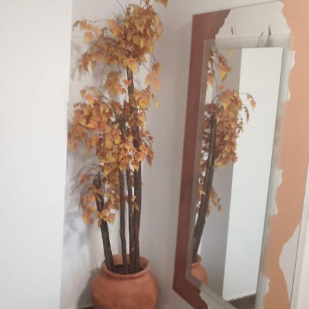 Apartamento Gloria Patricia Alcantarilla  Luaran gambar