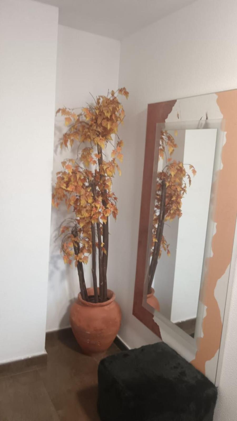 Apartamento Gloria Patricia Alcantarilla  Luaran gambar